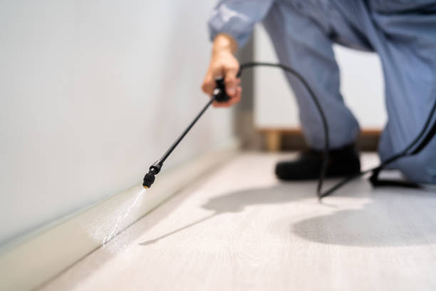 Licensed Termite Control service in Doolittle, TX - Show Me Pest Control